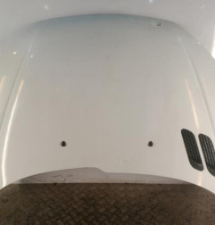 Capot PEUGEOT 206 Photo n°1