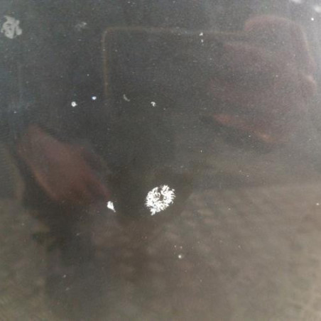 Capot NISSAN QASHQAI 2