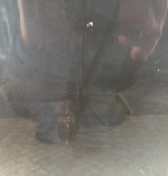 Porte avant gauche NISSAN QASHQAI 2