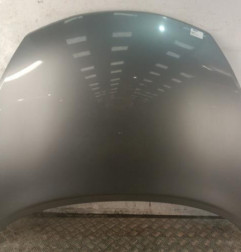 Capot NISSAN JUKE 1 Photo n°1