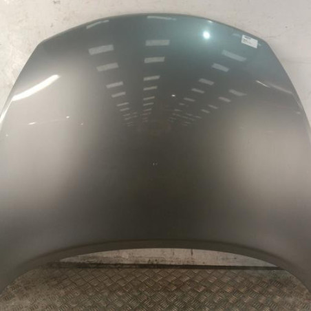 Capot NISSAN JUKE 1 Photo n°1