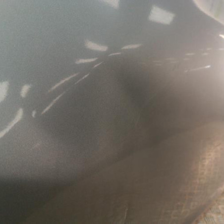 Porte avant gauche NISSAN JUKE 1