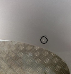 Porte arriere droit BMW X1 E84 Photo n°3