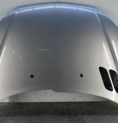 Capot PEUGEOT 206 Photo n°1