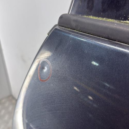Porte arriere gauche RENAULT SCENIC 3