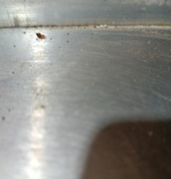 Retroviseur gauche PEUGEOT PARTNER 2 Photo n°4