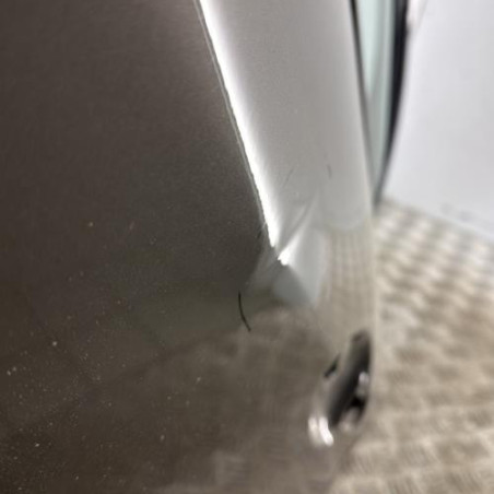 Porte arriere gauche PEUGEOT 2008 1