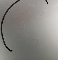 Capot VOLKSWAGEN GOLF 5