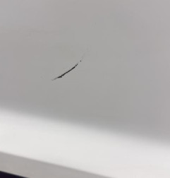 Porte arriere droit FORD ECOSPORT