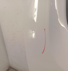 Porte laterale droit RENAULT KANGOO 2