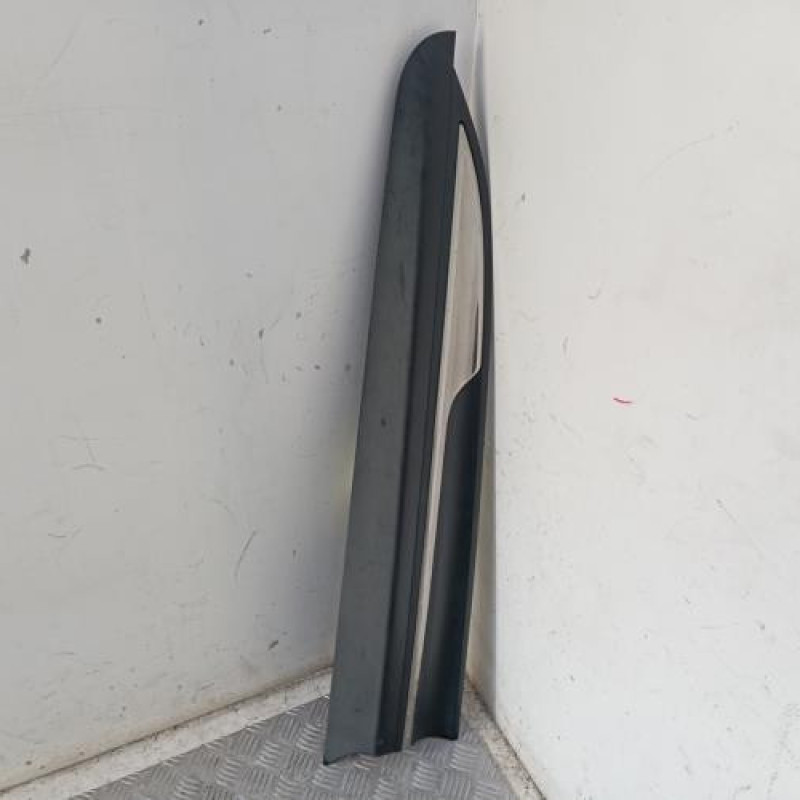 Baguette de porte avant gauche RENAULT SCENIC 4