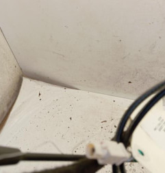 Antenne RENAULT KANGOO 2 Photo n°3