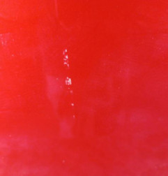 Porte avant droit DACIA LODGY