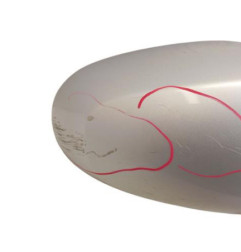 Retroviseur droit RENAULT MODUS