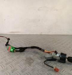 Neiman PEUGEOT 307 Photo n°1