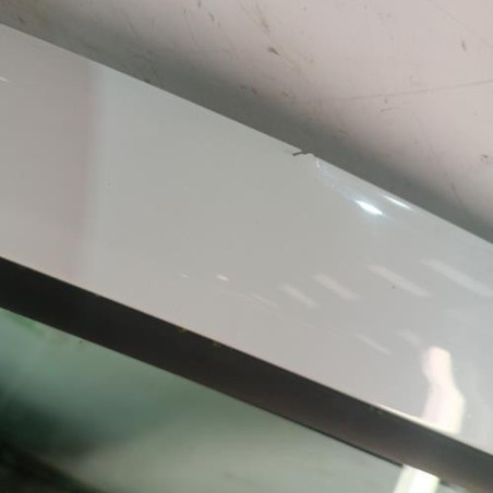 Porte avant gauche RENAULT CLIO 3