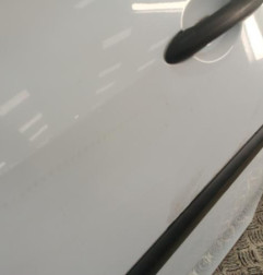 Porte avant gauche RENAULT CLIO 3 Photo n°6