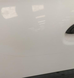 Porte avant gauche RENAULT CLIO 2 Photo n°6