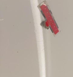 Porte avant droit PEUGEOT EXPERT 3 Photo n°3