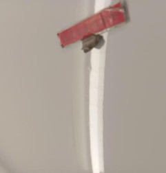 Porte avant droit PEUGEOT EXPERT 3 Photo n°5