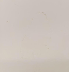 Porte avant gauche PEUGEOT EXPERT 3 Photo n°7