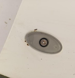 Aile avant droit CITROEN BERLINGO 1 Photo n°3