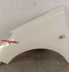 Aile avant gauche PEUGEOT 206+ Photo n°1