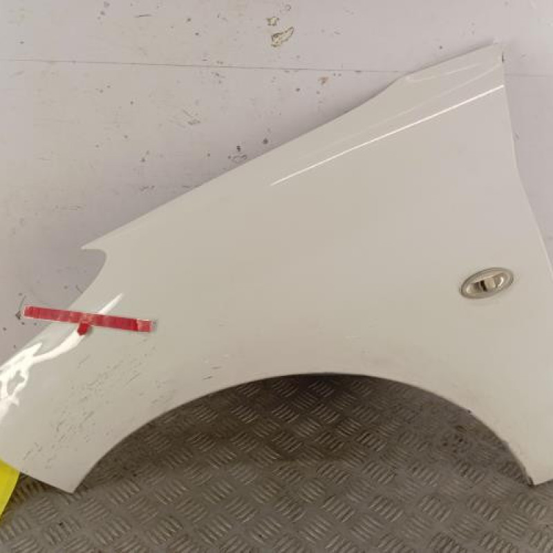 Aile avant gauche PEUGEOT 206+