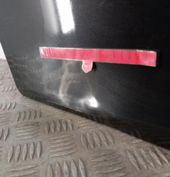 Porte avant gauche RENAULT WIND