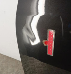 Porte avant gauche RENAULT WIND Photo n°5