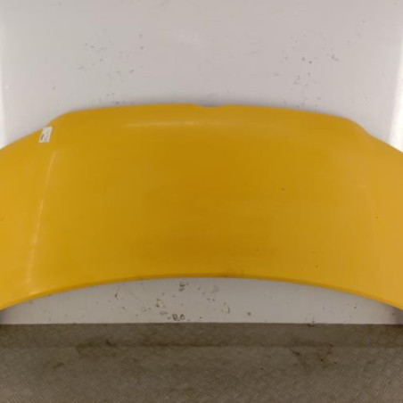 Capot VOLKSWAGEN TRANSPORTER 5 Photo n°1