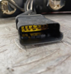 Feu arriere principal gauche (feux) RENAULT WIND Photo n°5