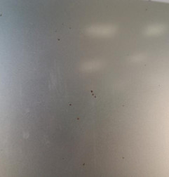 Capot PEUGEOT PARTNER 2