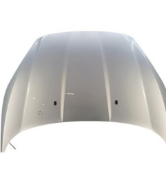 Capot FORD FIESTA 6 Photo n°1