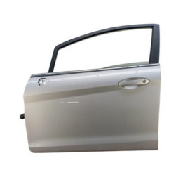 Porte avant gauche FORD FIESTA 6 Photo n°1