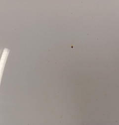 Capot HYUNDAI I 30 1 Photo n°7