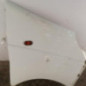 Aile avant droit RENAULT TRAFIC 2