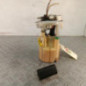 Pompe de gavage RENAULT CLIO 2