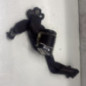 Ceinture avant gauche CITROEN NEMO