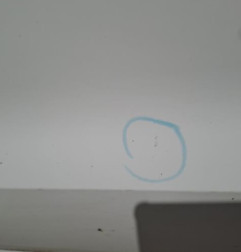 Porte avant gauche VOLKSWAGEN POLO 5 Photo n°3