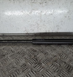 Verin de coffre PEUGEOT 206+ Photo n°1