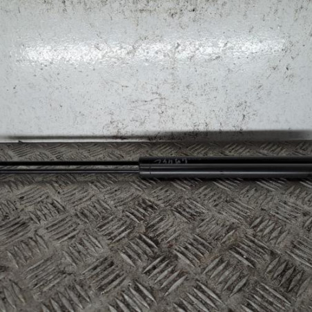 Verin de coffre PEUGEOT 206+ Photo n°1