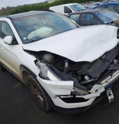 Feu arriere principal gauche (feux) HYUNDAI TUCSON 2 Photo n°6