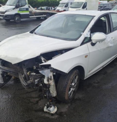 Porte arriere gauche SEAT IBIZA 4 Photo n°4