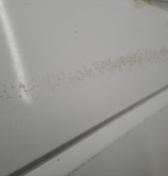 Porte avant gauche LAND ROVER FREELANDER 2 Photo n°3