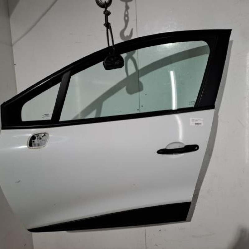 Porte avant gauche RENAULT CLIO 4