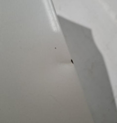 Aile avant gauche SUBARU OUTBACK 3 Photo n°3