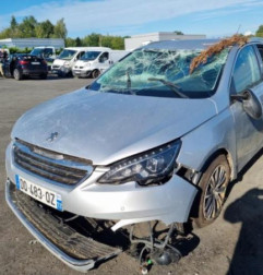 Malle/Hayon arriere PEUGEOT 308 2 SW Photo n°4