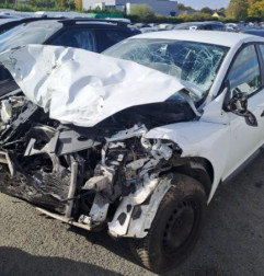 Malle/Hayon arriere RENAULT MEGANE 3 Photo n°4