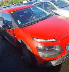 Baguette de porte avant gauche CITROEN C4 CACTUS Photo n°5